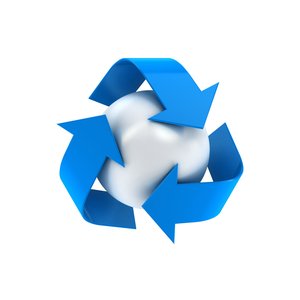 宠物跳蚤预防技巧，全年无忧的防护方案
